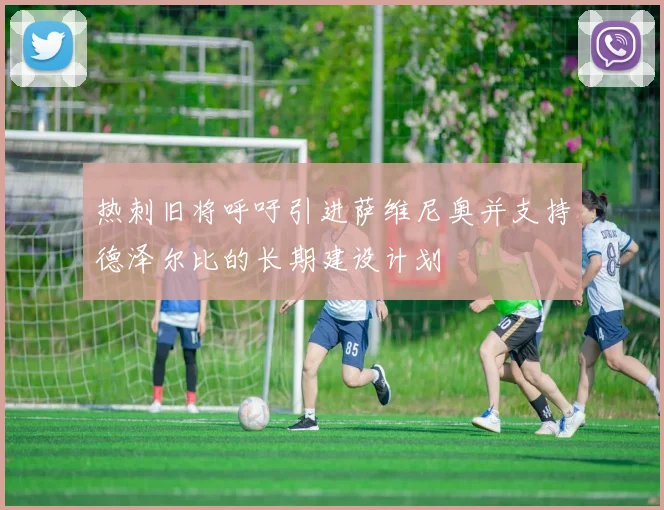 热刺旧将呼吁引进萨维尼奥并支持德泽尔比的长期建设计划
