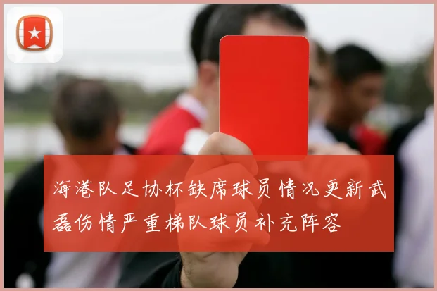 海港队足协杯缺席球员情况更新武磊伤情严重梯队球员补充阵容